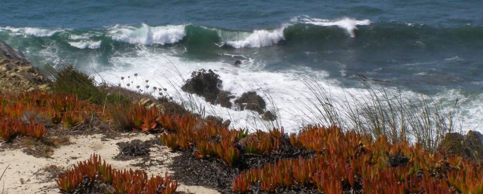 
            Фотография Алжезура