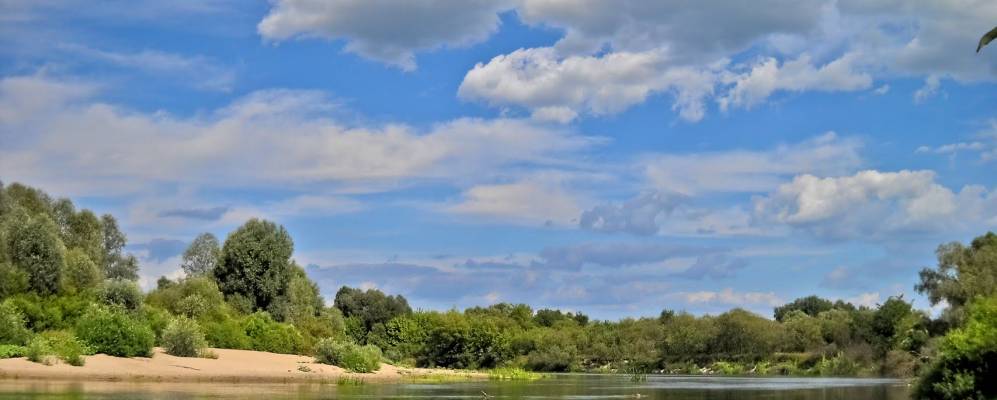 
            Фотография Красного