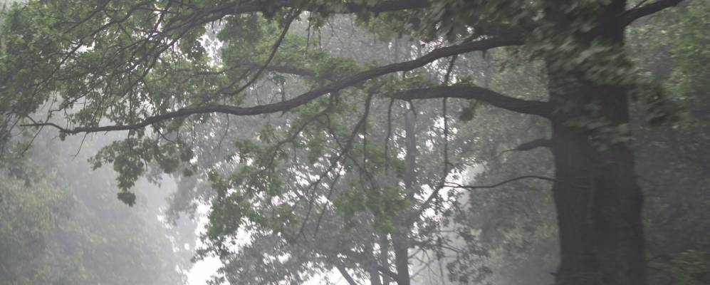 
            Фотография Соколовки