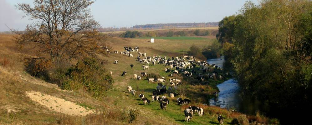 
            Фотография Быково