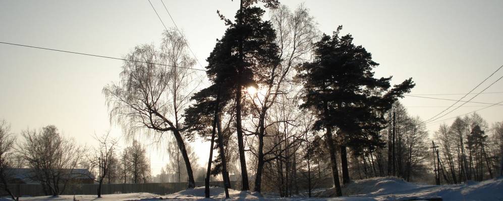 
            Фотография Кири