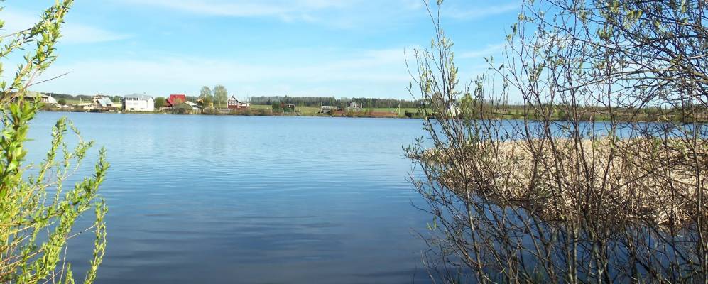 
            Фотография Пантелеевых