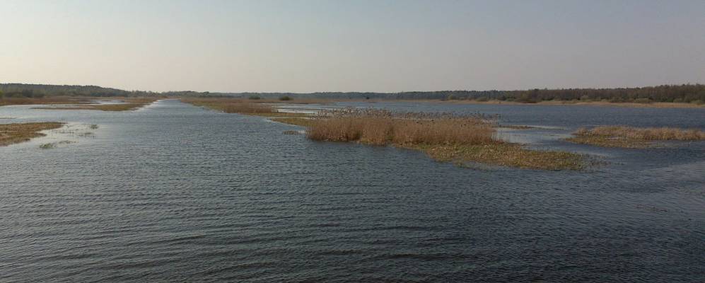 Фотография деревни Ясевичи