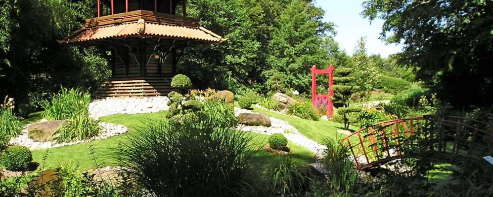 
            Фотография Коэ