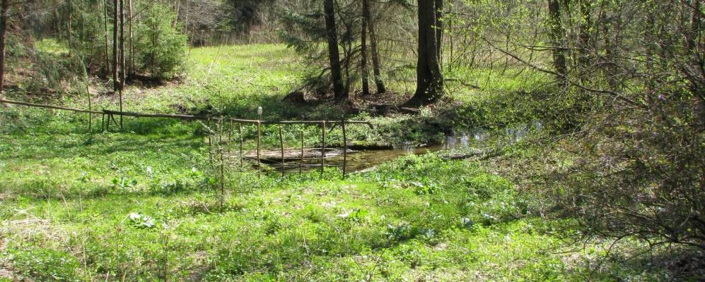 
            Фотография Малых Козлов