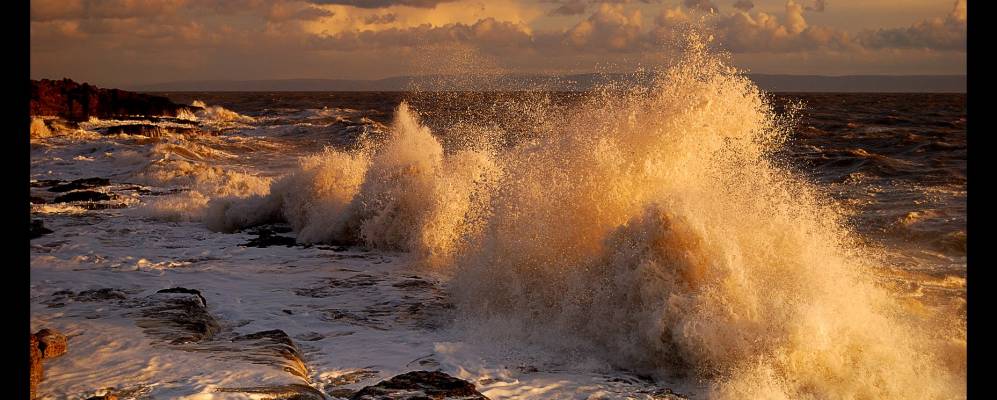 
            Фотография Порткола