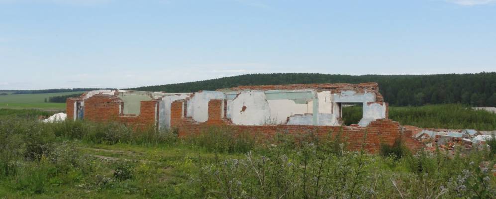 
            Фотография Дуты