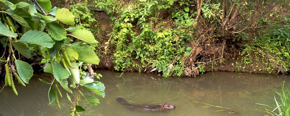 
            Фотография Рождественского