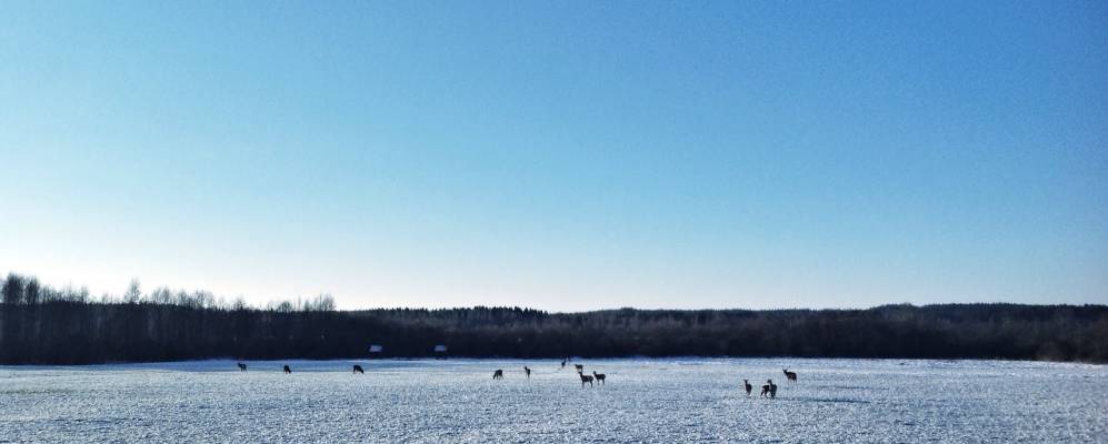 Фотография деревни Чернооки