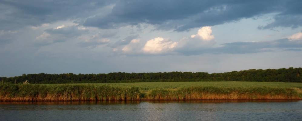 
            Фотография Степного Яра