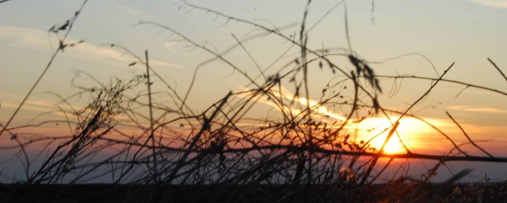 
            Фотография Озерихи