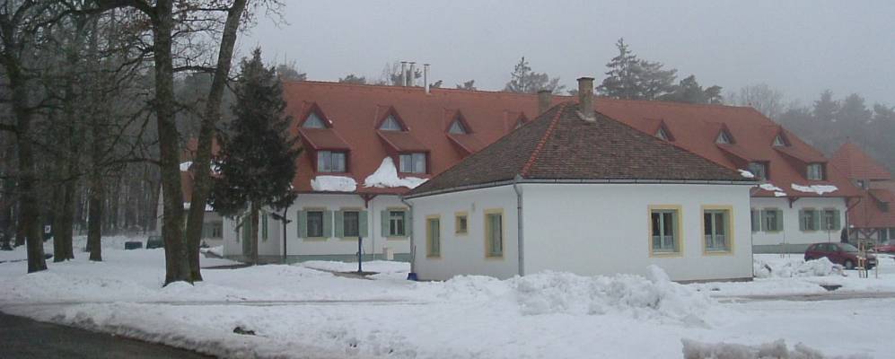 
            Фотография Немешнепа