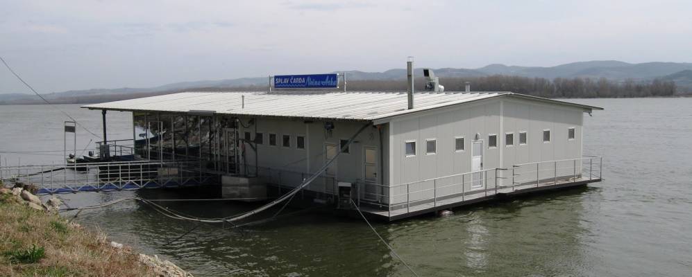 
            Фотография Футога