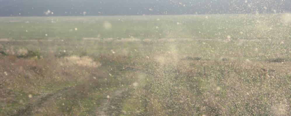 
            Фотография Берегового