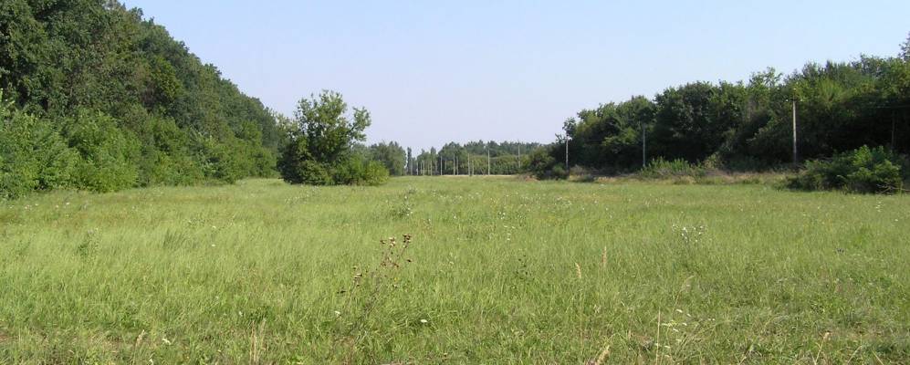 
            Фотография Поселка Первого Участка Института Имени Докучаева