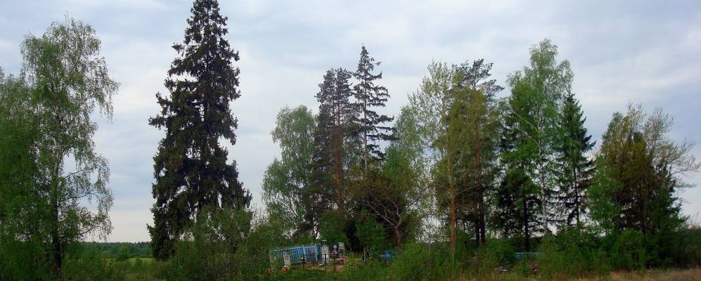 Фотография деревни Рябченки