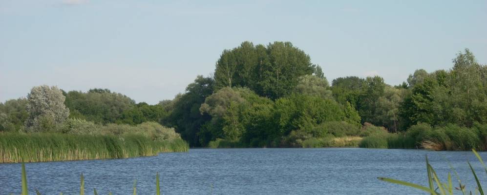 
            Фотография Калинина