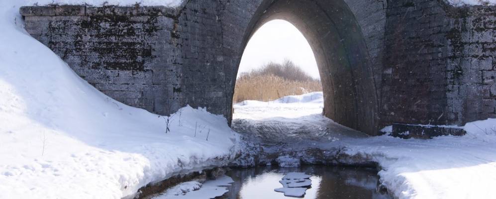 
            Фотография Румянцево
