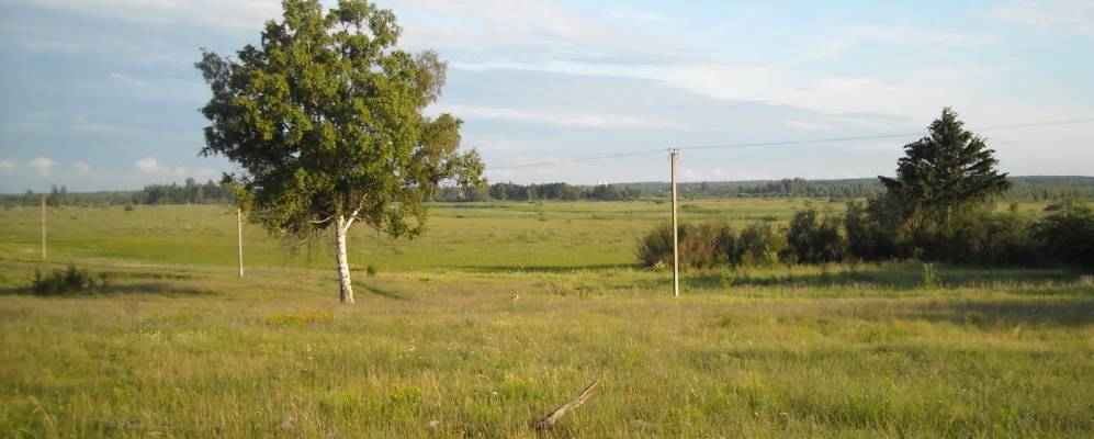 
            Фотография Моложвы