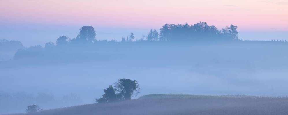 
            Фотография Berghausen
