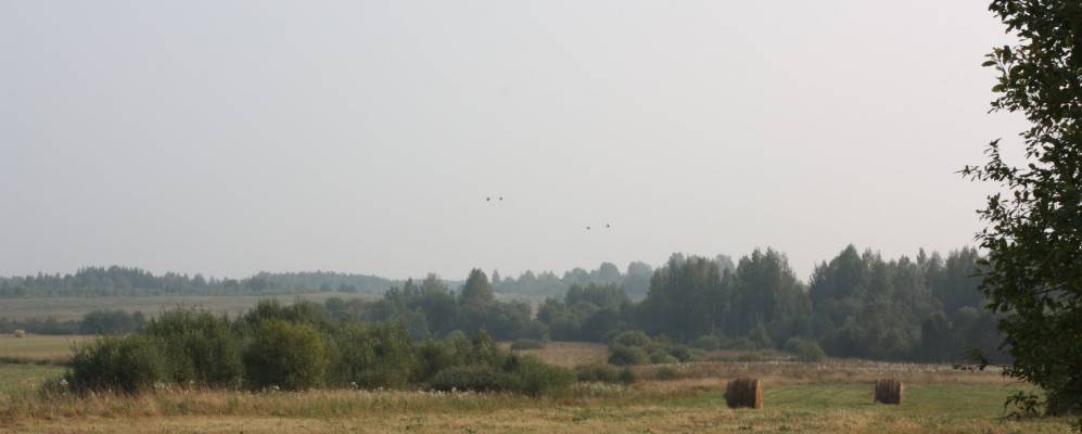 Фотография Мазалово