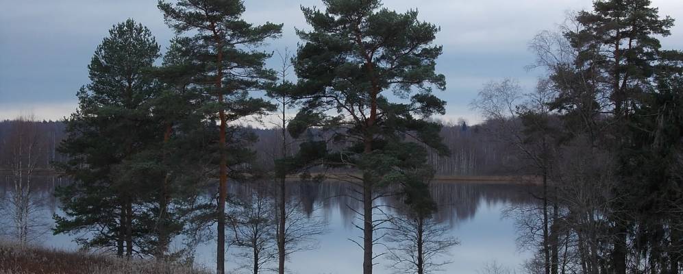 
            Фотография Шипилино