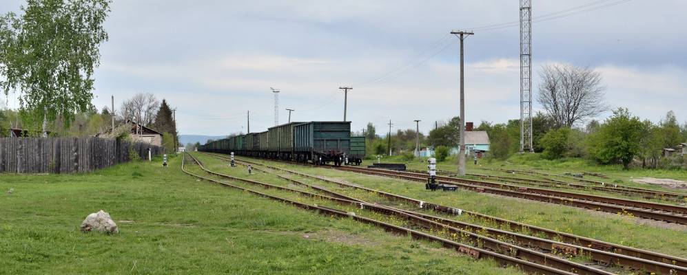 
            Фотография Заречного