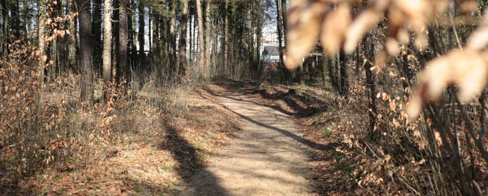 
            Фотография Зульгена