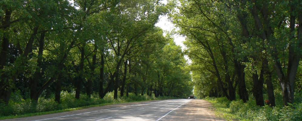 
            Фотография Красного Пахаря