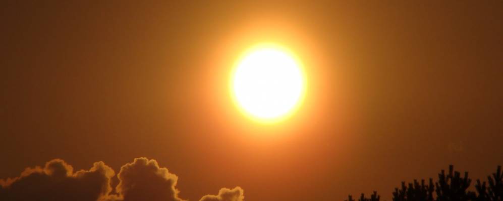 Фотография деревни Боровики