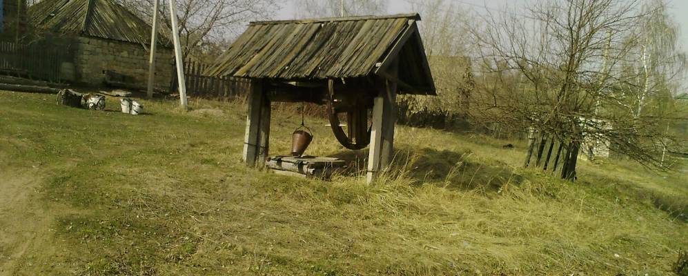 Фотография Соколки