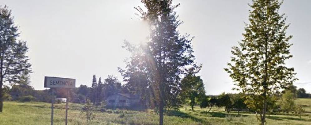 Фотография Семеновы