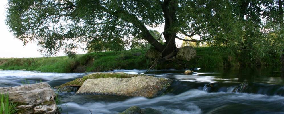 
            Фотография Демидово