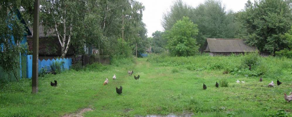 Фотография Подбелово