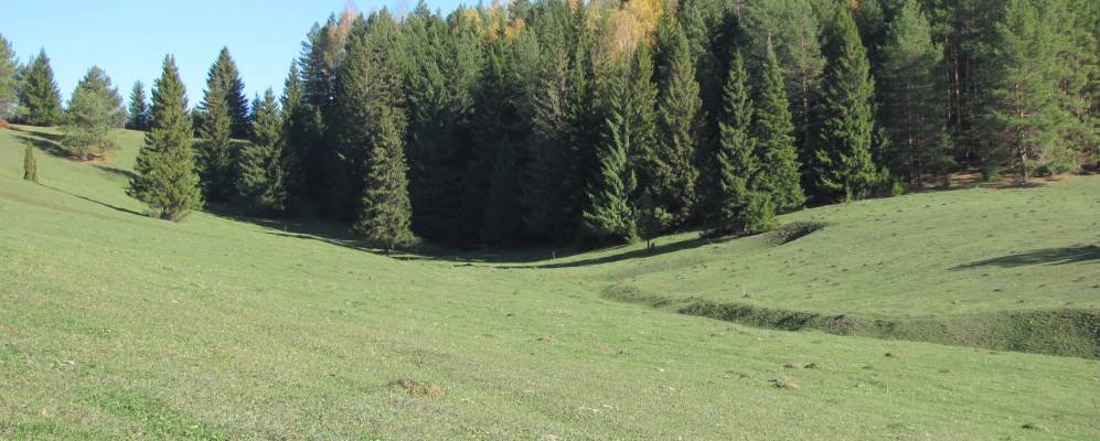 
            Фотография Моховой