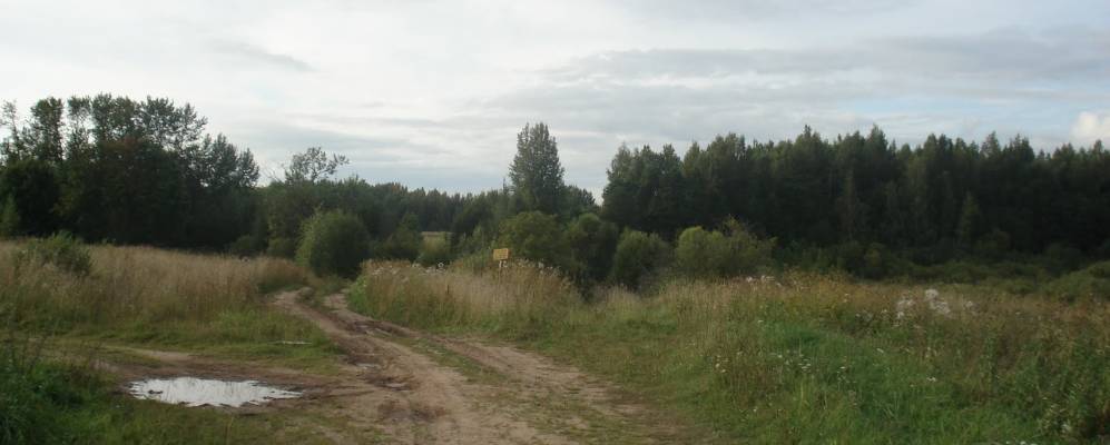 
            Фотография деревни Смыки