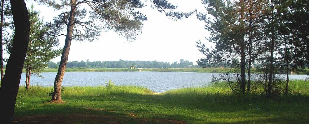 
            Фотография Цитули