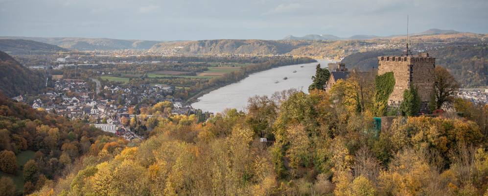 
            Фотография Бад Брайсига