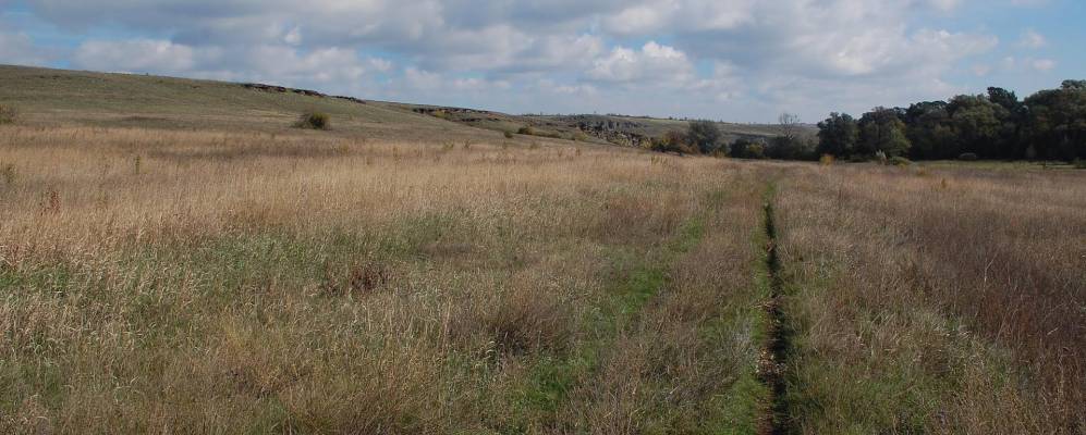 
            Фотография Новоселовки