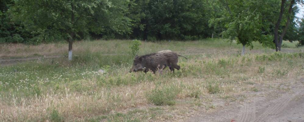 
            Фотография Стрюково