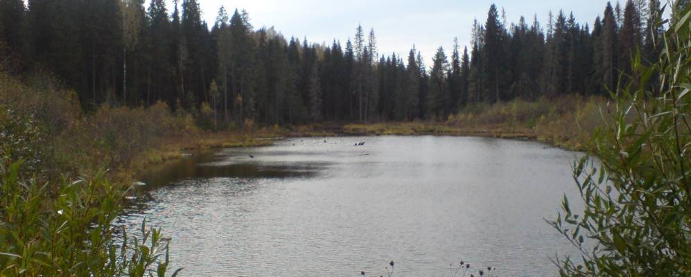 
            Фотография Князей