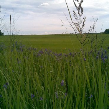 Новодугино