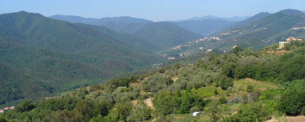 
            Фотография Гарленды