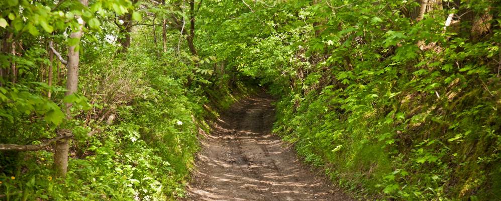 
            Фотография Башковцев