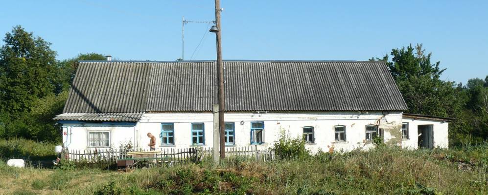 Фотография Лепяги