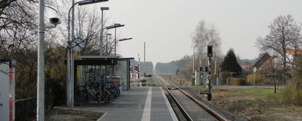 
            Фотография Линдведель