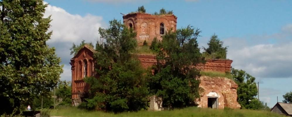 
            Фотография Муши