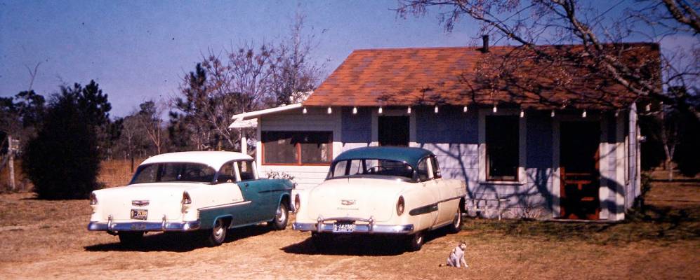 
            Фотография Миртл Гроува