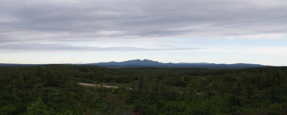 
            Фотография Музьмы