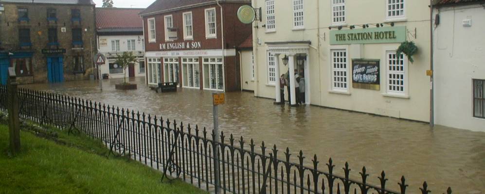 
            Фотография Поклингтона